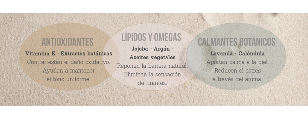 Ilustración de los tres pilares para regenerar la piel después del verano: antioxidantes (vitamina E), lípidos y omegas (aceites vegetales), y calmantes botánicos (lavanda, caléndula). Diseño didáctico y amigable.